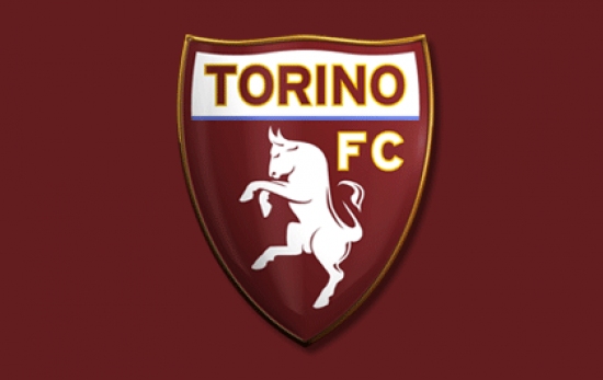 Logo_Toro