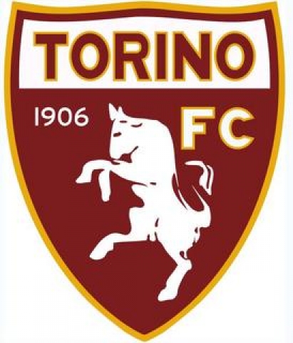 logotoro2