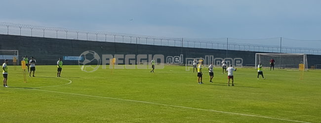 Reggina, conclusa la seduta di allenamento mattutina: il report