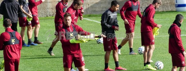 Reggina subito in campo: martedì c’è l’Ascoli