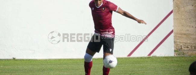 Le statistiche di Reggina-Ternana: Rivas si conferma il più pericoloso